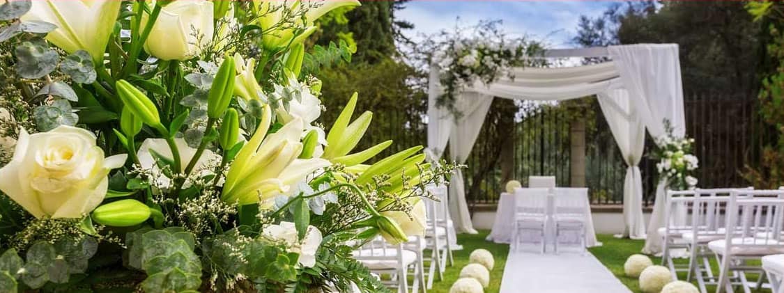 Hochzeitsplanung Dresden